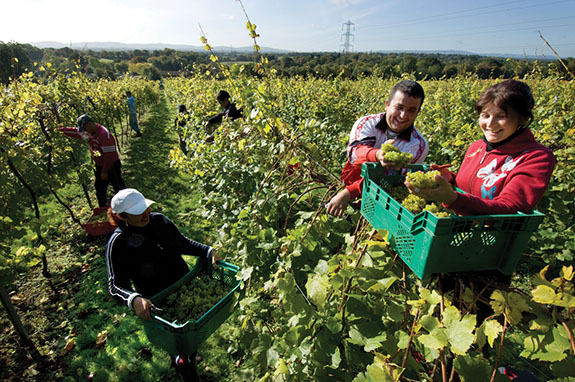 Romanian Farm Workers in East Sussex Romanian Farm Workers in East Sussex